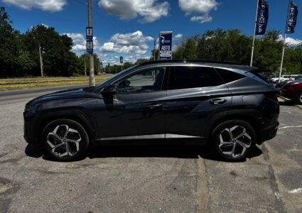 Купить марку машины Hyundai Tucson 2.0 AT 4WD 2023 в Луганске