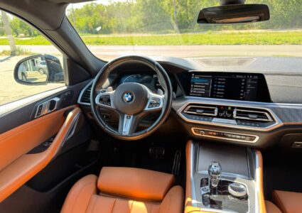 Купить марку машины BMW X6 xDrive40i 2022 в Луганске